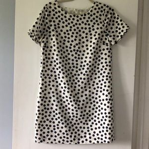Polka Dot Dress